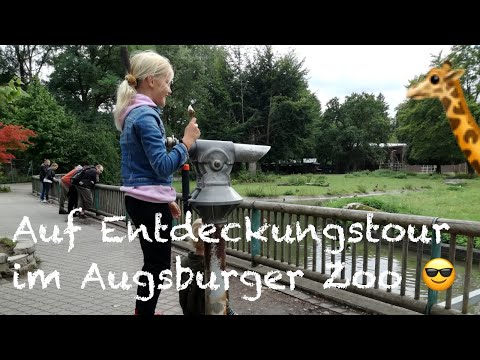 Auf Entdeckungstour im Augsburger Zoo