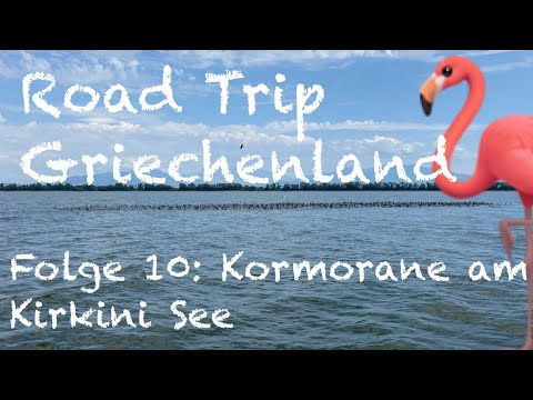 Road Trip Griechenland - Folge 10: Kormorane am Kerkini See