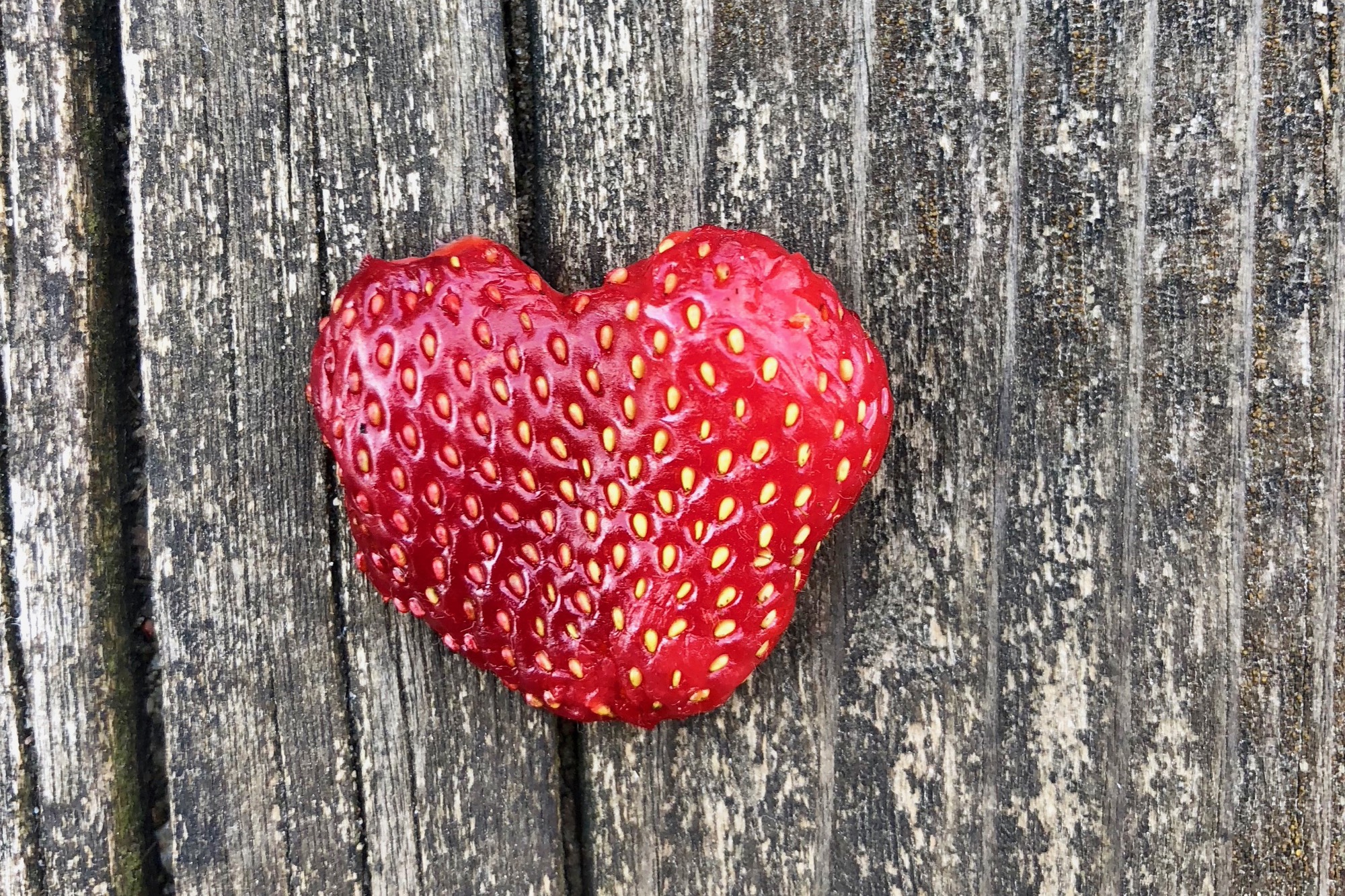Erdbeer-Herz – Drei Erdenbewohner